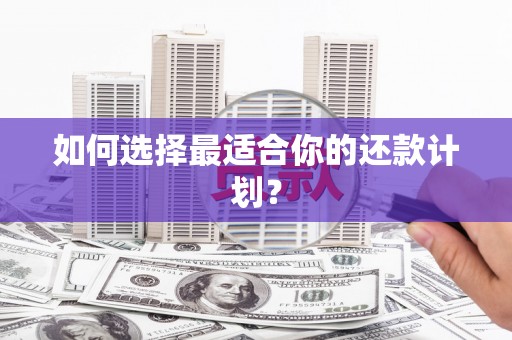 徐水如何选择最适合你的还款计划？