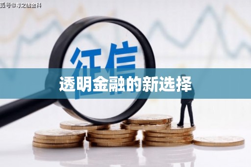 徐水透明金融的新选择