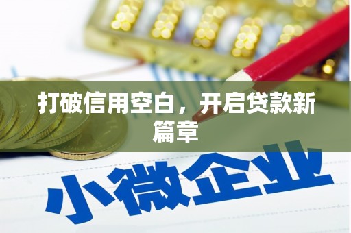 徐水打破信用空白，开启贷款新篇章