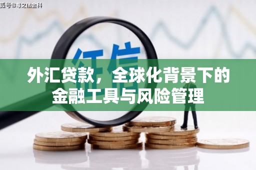 徐水外汇贷款，全球化背景下的金融工具与风险管理
