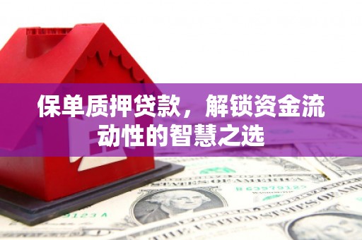 徐水保单质押贷款，解锁资金流动性的智慧之选