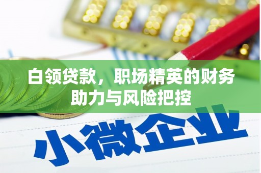 徐水白领贷款，职场精英的财务助力与风险把控