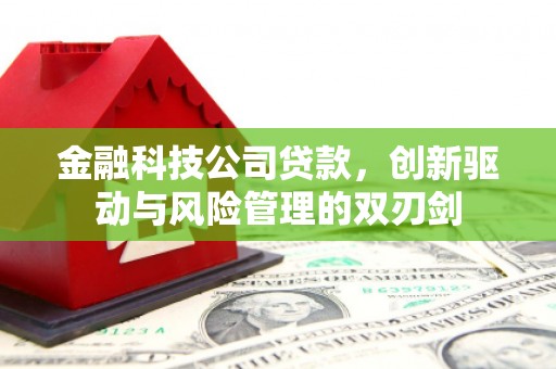 徐水金融科技公司贷款，创新驱动与风险管理的双刃剑