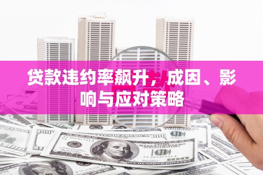 徐水贷款违约率飙升，成因、影响与应对策略